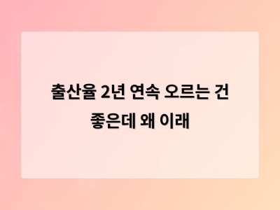 출산율 반등은 긍정적이지만 지속 가능성에 관심이 간다