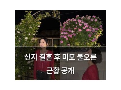 신지 결혼 후 미모 물오른 근황 공개