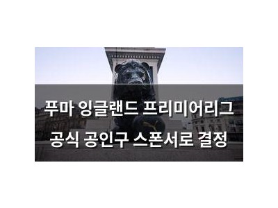 푸마 잉글랜드 프리미어리그 공식 공인구 스폰서로 결정