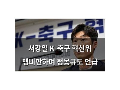 서강일 K-축구 혁신위 맹비판하며 정몽규도 언급