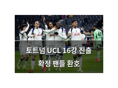 토트넘 UCL 16강 진출 확정 팬들 환호
