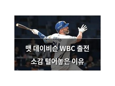 맷 데이비슨 WBC 출전 소감 털어놓은 이유