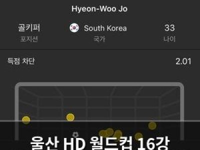 울산 HD 월드컵 16강 실패 조현우의 활약은 기억될 듯