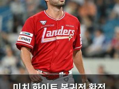 미치 화이트 복귀전 확정 SSG 선발진 재조정 시작