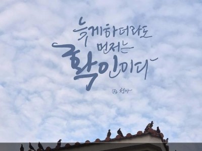 야구 명언에 숨은 흥미로운 사실