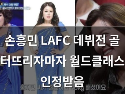 손흥민 LAFC 데뷔전 골 터뜨리자마자 월드클래스 인정받음