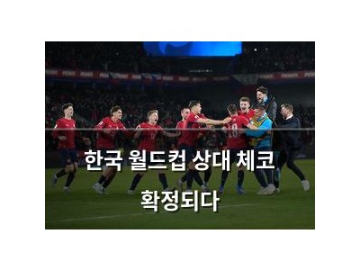 한국 월드컵 상대 체코 확정되다