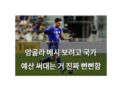 앙골라 메시 보려고 국가 예산 써대는 거 진짜 뻔뻔함