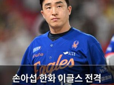 손아섭 한화 이글스 전격 합류 계약 완료