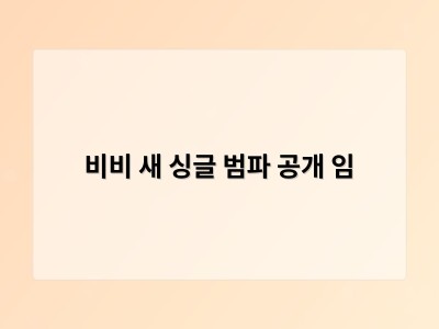 비비 새 싱글 범파 공개 임