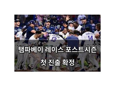 탬파베이 레이스 포스트시즌 첫 진출 확정